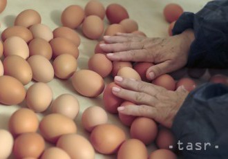 Inšpektori v sklade firmy Zeelandia našli varené vajcia s fipronilom