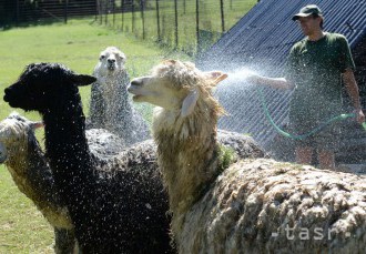 Košická zoo v rámci cezhraničnej spolupráce vybuduje náučný chodník