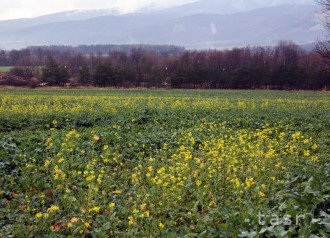 Leopoldovský závod Meroco vyrobil milión ton biopaliva