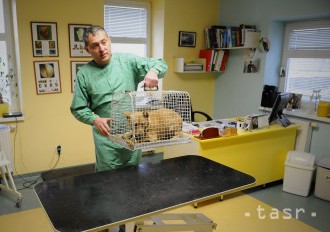 Zaobchádzanie s veterinárnymi prípravkami upraví zákon