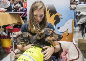 Cenu za ochranu zvierat Animal Hero 20017 si prevzal vodič Peter