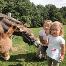 Na Farmě Blaník začíná podzimní sezóna