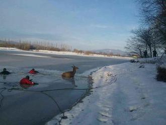 Skutoční hrdinovia: FOTO Trenčianski hasiči nasadili vlastný život, FOTO záchrannej akcie