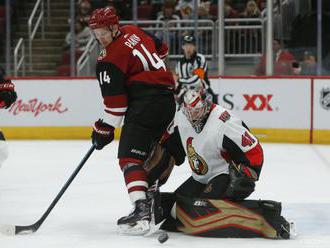 VIDEO: NHL: Pánik skóroval za Arizonu, Halák žiaril v bránke Bostonu