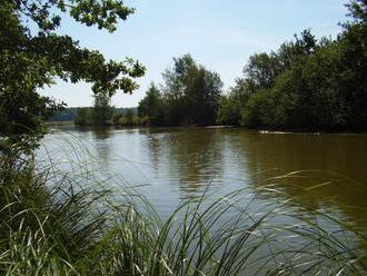 Výlov rybníka Branišovský Velký - České Budějovice