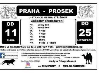 Cirkus Bob Navarro King - Praha Prosek