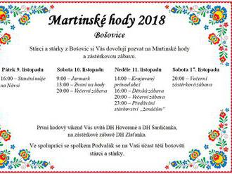 Martinské hody - Bošovice