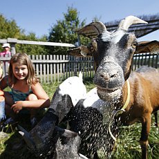 Užijte si podzim na Farmě Blaník!