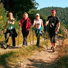 Dobře zvládnutý nordic walking je pro hubnutí lepší než běh