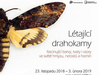 Létající drahokamy