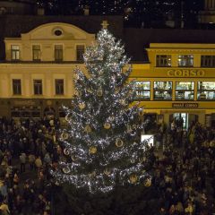 Rozsvícení vánočního stromu - Jablonec nad Nisou