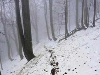 Záchranári pomáhali zranenej turistke v oblasti Skalky pri Kremnici