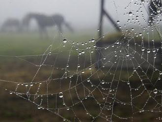 V stredu vás počasie nezaskočí, opäť bude chladno a sychravo