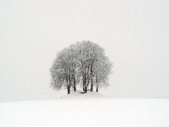 V banskom mestečku v Rusku natierali sneh na bielo