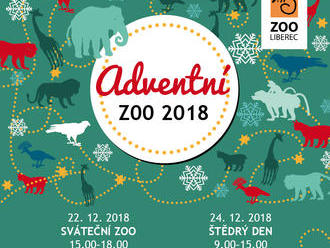 Vánoční zoo Liberec