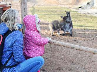 Vítání jara a Den ptactva - Zoo Vyškov