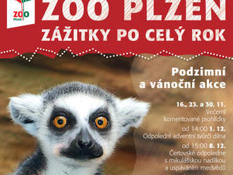 Štědrý den v Zoo Plzeň