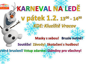 Karneval na ledě - Vracov