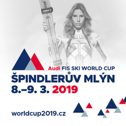 Audi Fis Ski World Cup