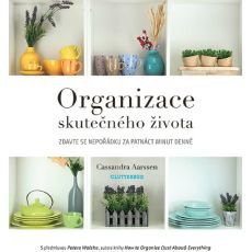 Organizace skutečného života