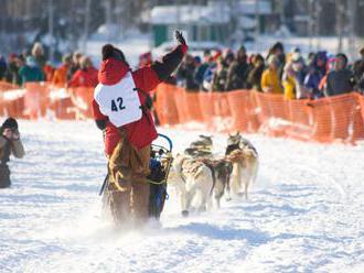 Riaditeľ aljašských pretekov psích záprahov Iditarod končí vo funkcii, dôvodom nie sú financie