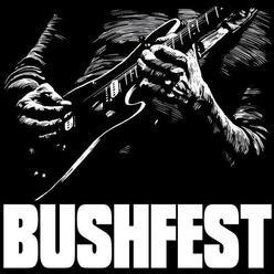 Bushfest open air