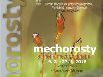 Mechorosty – latimérie mezi rostlinami