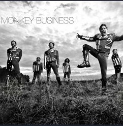 Monkey Business