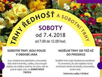 Trhy v Ředhošti