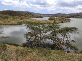 Národní park Arusha umožňuje pěší safari, nabízí vodopád, kráter i horský prales