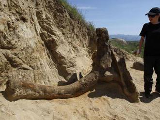 FOTO: Na juhu Macedónska objavili kostru prehistorického slona