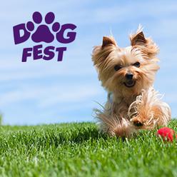 DogFest 2018 / Největší psí festival v republice