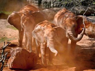 Za spotřebič vstup zdarma do zlínské Zoo