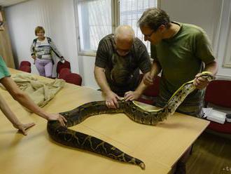 V košickej zoo pribudne prvá otvorená expozícia plazov na Slovensku