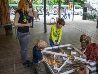 Den ptačího tahu a Den rodin v Zoo Praha