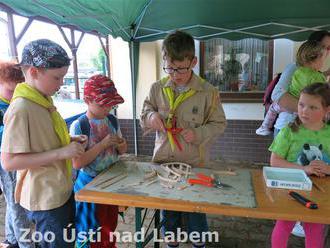 Po liščí stopě - Zoo Ústí nad Labem