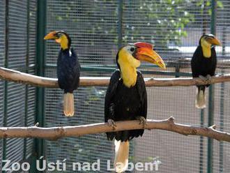 Ztichlý les - Zoo Ústí nad Labem