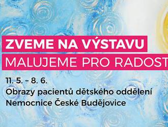 Malujeme pro radost - výstava - Igy Centrum České Budějovice