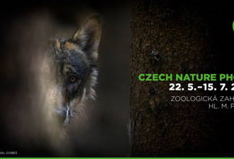 Czech Nature Photo 2018 v Zoo Praha