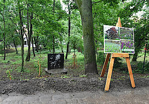 Severní zahrady pod Špilberkem otevřeny - Brno