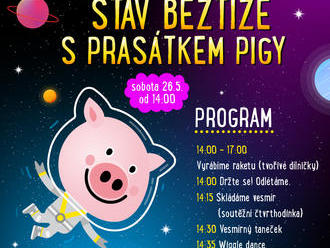 Prasátko Piggy - Galerie Harfa Praha