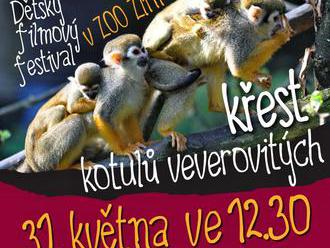 Dětský filmový festival v Zoo Zlín