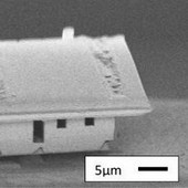 Světově nejmenší dům se měří v mikrometrech