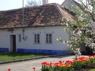 Noc ve stodole a chleba přímo z pece? Památkové domky na Slovácku otevřou své brány