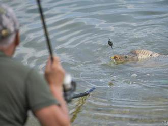 Nový zákon o rybárstve má prispieť k ochrane vôd aj zdravia rybárov