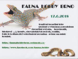 Fauna hobby Brno