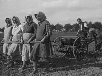 Z fotoarchivu NZM – Lidé na poli