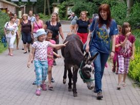 Večerní prohlídky v Zoo Děčín