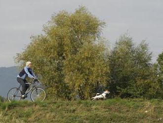 Po páde v bike parku na Malinôm Brde sa zranila česká cyklistka